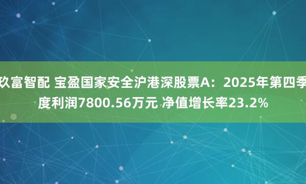 玖富智配 宝盈国家安全沪港深股票A：2025年第四季度利润7800.56万元 净值增长率23.2%